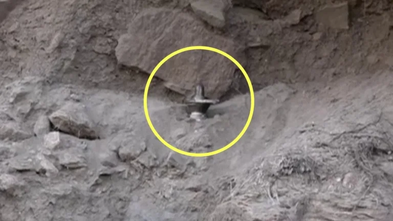 ಮಣ್ಣಿನೊಳಗಿಂದ ಹೊರಬರುತ್ತಿದೆ ಲಕ್ಕುಂಡಿಯ ಮಹಿಮೆ: ಶಿಲ್ಪಗಳೇ ಹೇಳುತ್ತಿವೆ ಸಾವಿರ ವರ್ಷದ ಕಥೆ!