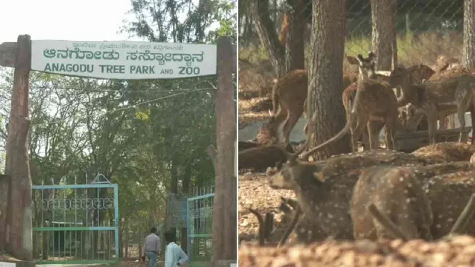 ಕರೋನಾ ರೀತಿಯ ಮಾರಕ ರೋಗ ಶಂಕೆ; ಇಂದಿರಾ ಪ್ರಿಯದರ್ಶಿನಿ ಮೃಗಾಲಯ ಬಂದ್!