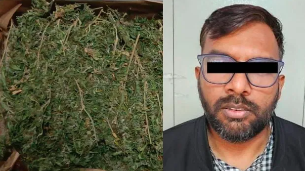 ಬೆಳಗಾವಿಯಲ್ಲಿ ಸರ್ಕಾರಿ ವೈದ್ಯರ ಮನೆಯಲ್ಲಿ ಗಾಂಜಾ ಪತ್ತೆ: ಆರೋಗ್ಯ ಇಲಾಖೆ ನೋಟಿಸ್