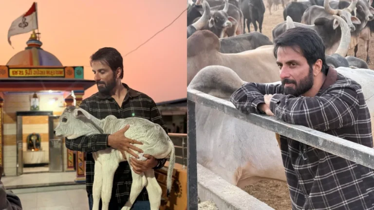 ಗುಜರಾತ್ ಗೋಶಾಲೆಗೆ ಸೋನು ಸೂದ್ ₹22 ಲಕ್ಷ ದೇಣಿಗೆ: ಗೋಸೇವೆ ಮೂಲಕ ಮತ್ತೆ ಗಮನ ಸೆಳೆದ ನಟ
