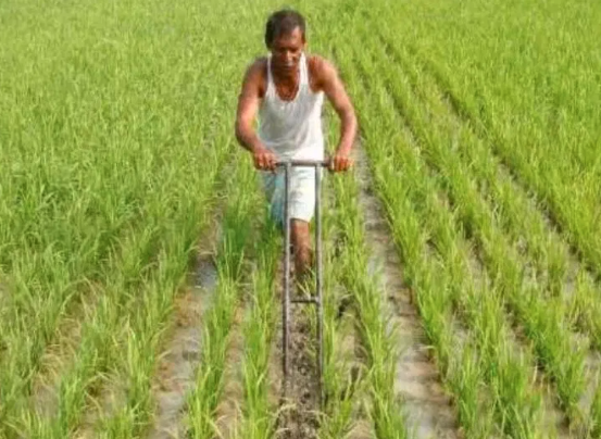 ಪ್ರಧಾನಮಂತ್ರಿ ಫಸಲ್ ಬಿಮಾ ಯೋಜನೆ ಅನುಷ್ಠಾನದಲ್ಲಿ ಕರ್ನಾಟಕಕ್ಕೆ ರಾಷ್ಟ್ರಮಟ್ಟದಲ್ಲಿ ಎರಡನೇ ಸ್ಥಾನ