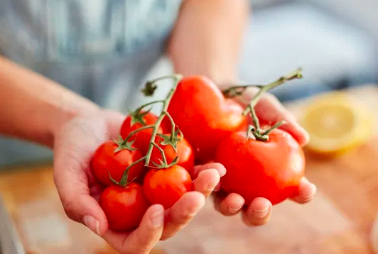 ಟೊಮೆಟೊಗಳನ್ನು ಫ್ರಿಡ್ಜ್‌ʼನಲ್ಲಿ ಇಡ್ತೀರಾ? ಹಾಗಾದರೆ ಈ ಮಾಹಿತಿ ತಪ್ಪದೇ ತಿಳಿದುಕೊಳ್ಳಿ!