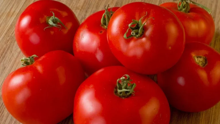 ಟೊಮೇಟೊ ದರ ದಿಢೀರ್ ಕುಸಿತ! ರೈತರಿಗೆ ಸಂಕಷ್ಟ, ಗ್ರಾಹಕರಿಗೆ ನಿಟ್ಟುಸಿರು