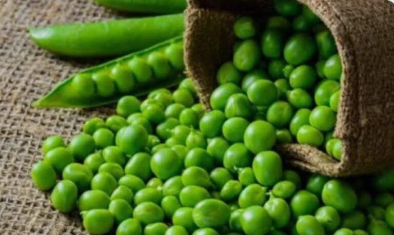 ಬಟಾಣಿಗಳು ವರ್ಷ ಕಳೆದ್ರೂ ಕೆಡಬಾರದಾ? ಹಾಗಾದ್ರೆ ನೀವು ಈ ಕೆಲಸ ಮಾಡಿ ಸಾಕು! 100% ರಿಸಲ್ಟ್