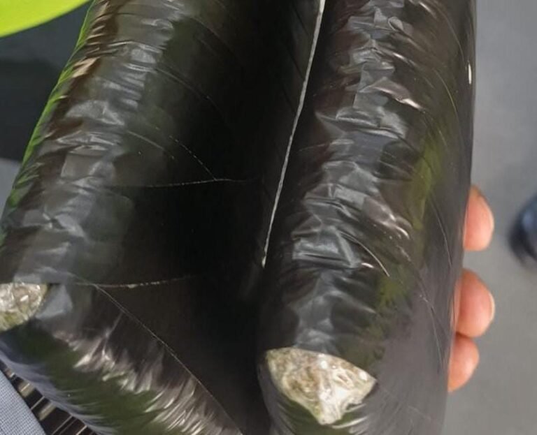 ಕೆಂಪೇಗೌಡ ವಿಮಾನ ನಿಲ್ದಾಣದಲ್ಲಿ 2.97 ಕೋಟಿ ಮೌಲ್ಯದ ಗಾಂಜಾ ಸೀಜ್!