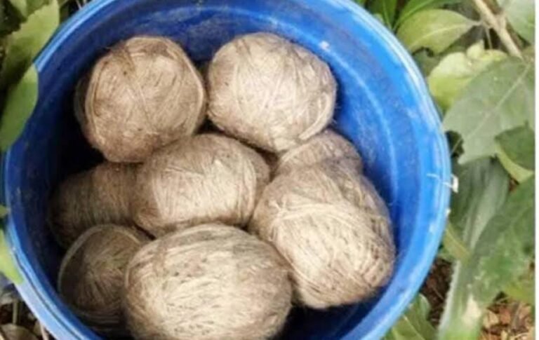 ಬಾಲ್ ಎಂದು ನಾಡಬಾಂಬ್ ಎಸೆದ ಬಾಲಕ; ಬ್ಯಾಟ್‌ ಬೀಸಿದಾಗ ಸ್ಫೋಟ, ಓರ್ವನಿಗೆ ಗಾಯ!