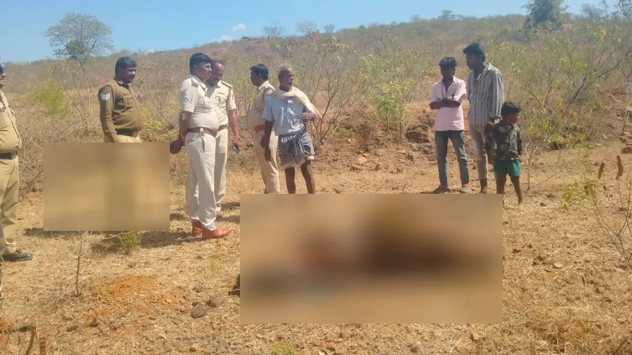 ಚಾಮರಾಜನಗರದಲ್ಲಿ ಎರಡು ದಿನದಲ್ಲಿ 11 ಹಸುಗಳು ಸಾವು