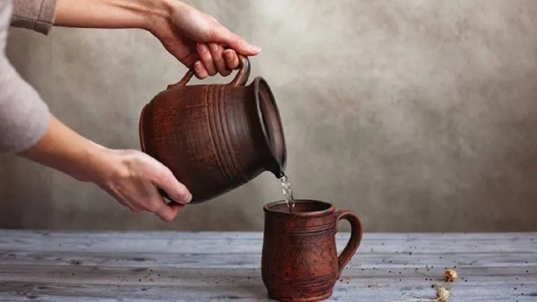 ಫ್ರಿಡ್ಜ್ ನೀರಿಗಿಂತ ಮಣ್ಣಿನ ಮಡಕೆ ನೀರೇ ಬೆಸ್ಟ್: ಬೇಸಿಗೆಯಲ್ಲಿ ಆರೋಗ್ಯ ಕಾಪಾಡುವ ಸರಳ ಉಪಾಯ!