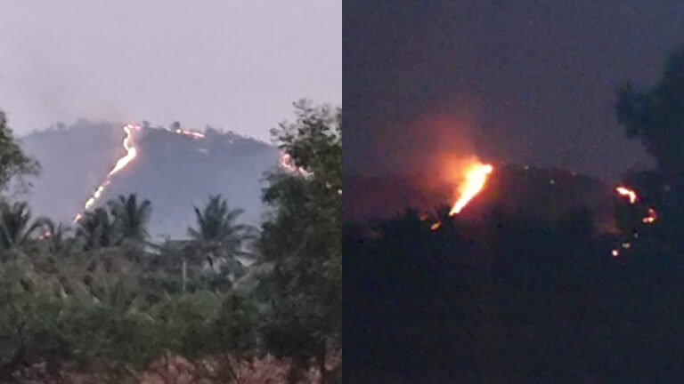 ಬೆಂಕಿಯ ಜ್ವಾಲೆಗೆ ಹೊತ್ತಿ ಉರಿದ ಐತಿಹಾಸಿಕ ಮಲ್ಲೇಶ್ವರ ಗುಡ್ಡ!