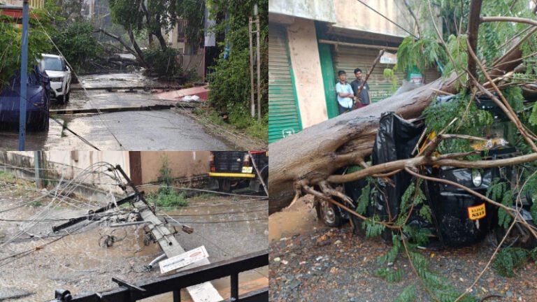 ಬಿರುಗಾಳಿ ಮಳೆ ಅಬ್ಬರ: ವಿದ್ಯುತ್ ಕಂಬಗಳು ನೆಲಕ್ಕುರುಳಿ ಜನಜೀವನ ಅಸ್ತವ್ಯಸ್ತ!