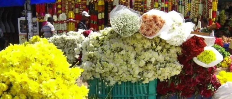 ಯುಗಾದಿ ಹಬ್ಬದ ಸಂಭ್ರಮ: ಕೆಆರ್ ಮಾರುಕಟ್ಟೆಯಲ್ಲಿ ಖರೀದಿ ಭರಾಟೆ, ಹೂ-ಹಣ್ಣು ದರ ಏರಿಕೆ