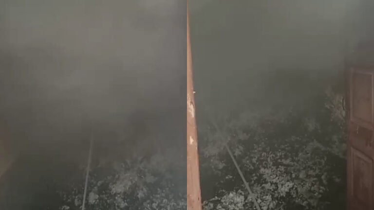 ಏಕಾಏಕಿ ಹೊತ್ತಿಕೊಂಡ ಬೆಂಕಿ: 400ಕ್ಕೂ ಅಧಿಕ ಹತ್ತಿ ಚೀಲಗಳು ಸುಟ್ಟುಕರಕಲು!