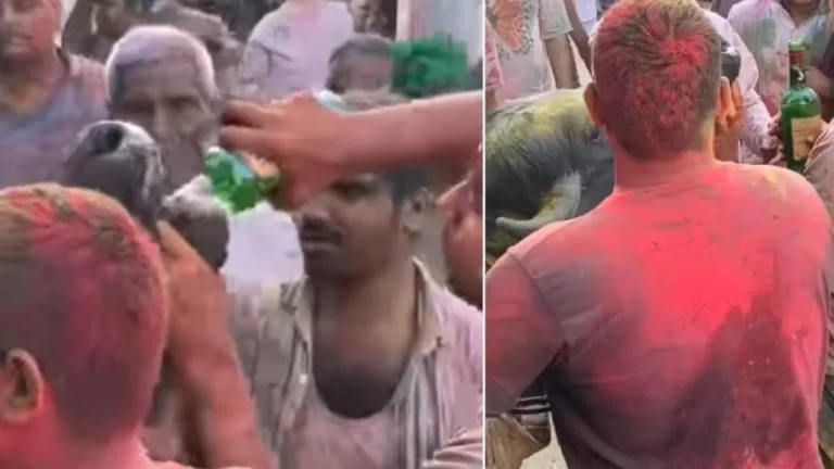 ‘ಹಬ್ಬದ ಹೆಸರಿನಲ್ಲಿ ಹಿಂಸೆ’: ಹರಿಯಾಣದಲ್ಲಿ ಗೋವಿಗೆ ಮದ್ಯ ಕುಡಿಸಿದ ವಿಡಿಯೋ ವೈರಲ್