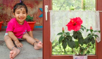 ಒಣಗಿದ ದಾಸವಾಳ ಹೂ ನುಂಗಿದ ಪರಿಣಾಮ ಉಸಿರುಗಟ್ಟಿ 6 ತಿಂಗಳ ಮಗು ಸಾವು!