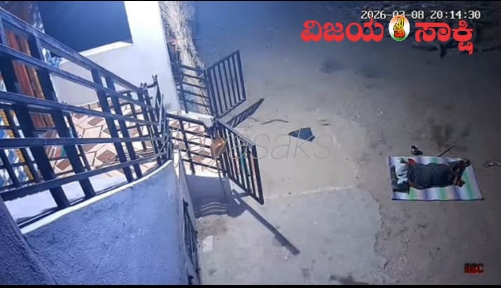 ಮನೆಯ ಅಂಗಳದಲ್ಲಿ ಮಲಗಿದ್ದ ವೃದ್ಧೆಗೆ ಹಾವು ಕಡಿತ: ಸಿಸಿಟಿವಿಯಲ್ಲಿ ಸೆರೆ, ವಿಡಿಯೋ ವೈರಲ್!