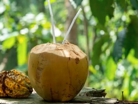 ಪ್ರತಿದಿನ “ಎಳನೀರು” ಕುಡಿಯುವುದರಿಂದ ಎಷ್ಟೆಲ್ಲಾ ಪ್ರಯೋಜನಗಳಿವೆ ಗೊತ್ತಾ.?