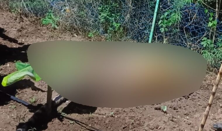 ಚಾಮರಾಜನಗರ: ಅಕ್ರಮ ವಿದ್ಯುತ್ ತಂತಿ ಸ್ಪರ್ಶಿಸಿ ಹುಲಿ ಸಾವು!