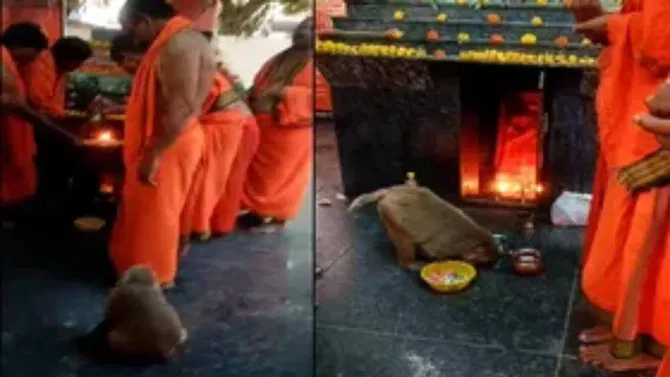 ಶ್ರೀರಾಮನವಮಿ ಪ್ರಯುಕ್ತ ವಿತರಿಸಿದ ಪ್ರಸಾದ ತಿಂದು ಭಕ್ತರು ಅಸ್ವಸ್ಥ: ಆಸ್ಪತ್ರೆಗೆ ದಾಖಲು!