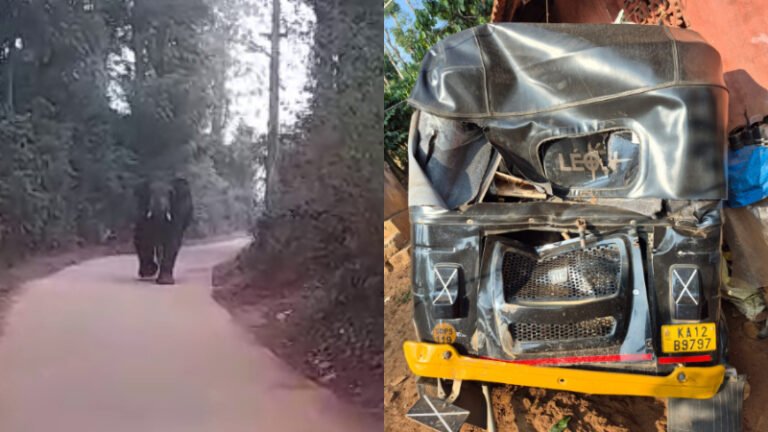 ಒಂಟಿ ಸಲಗದ ದಾಳಿ: ಮನೆ ಬಳಿ ನಿಲ್ಲಿಸಿದ್ದ ಆಟೋ ಜಖಂಗೊಳಿಸಿದ ಪುಂಡಾನೆ!