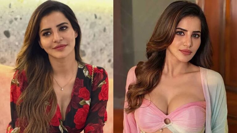 ಪ್ರೇಮದ ಹೆಸರಿನಲ್ಲಿ ಕೋಟಿ ಕೋಟಿ ವಂಚನೆ? ಆಶು ರೆಡ್ಡಿ ವಿರುದ್ಧ NRI ದೂರು