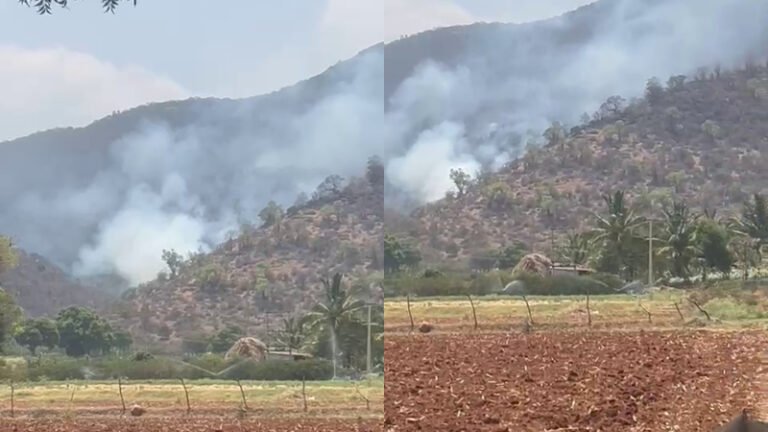 BRT ಹುಲಿ ಸಂರಕ್ಷಿತ ಪ್ರದೇಶದಲ್ಲಿ ಬೆಂಕಿ: ಅಪಾರ ಪ್ರಮಾಣದ ಕಾಡು ಭಸ್ಮ!