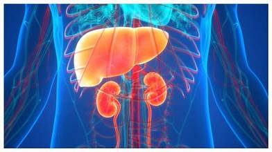 ನಿಮ್ಮ ಲಿವರ್ ಆರೋಗ್ಯ ಚನ್ನಾಗಿರಲು ಈ ಆಹಾರಗಳಿಂದ ದೂರವಿರಿ!