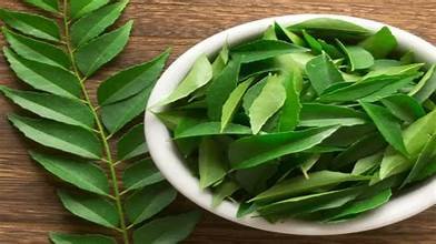 ಕರಿಬೇವಿನ ಎಲೆ ಎಲ್ಲರಿಗೂ ಸೂಕ್ತವಲ್ಲ: ಕೆಲವರಿಗೆ ಆರೋಗ್ಯ ಸಮಸ್ಯೆಗಳ ಅಪಾಯ! ಬಳಸದಿರುವುದೇ ಒಳ್ಳೆಯದು