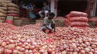 ಗಲ್ಫ್ ಯುದ್ಧ ಎಫೆಕ್ಟ್: ಈರುಳ್ಳಿ ಬೀಜದ ದರ ದಿಢೀರ್ ಕುಸಿತ; ರೈತ ಕಂಗಾಲು!