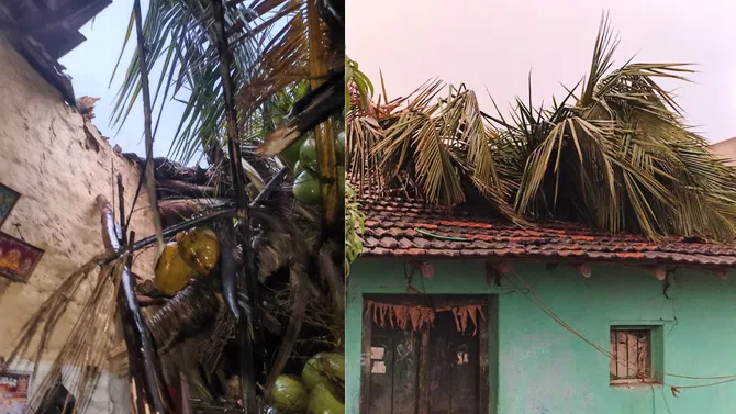 ಬಿರುಗಾಳಿ ಮಳೆ ಅವಾಂತರ! ಮನೆ ಮೇಲೆ ಬಿದ್ದ ತೆಂಗಿನ ಮರ, ತಾಯಿ-ಮಗ ಗಂಭೀರ