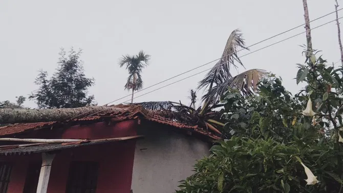 ಚಿಕ್ಕಮಗಳೂರಿನಲ್ಲಿ ಬಿರುಗಾಳಿ ಅಬ್ಬರ: ಮರಗಳು ಧರೆಗುರುಳಿ ಜನಜೀವನ ಅಸ್ತವ್ಯಸ್ತ