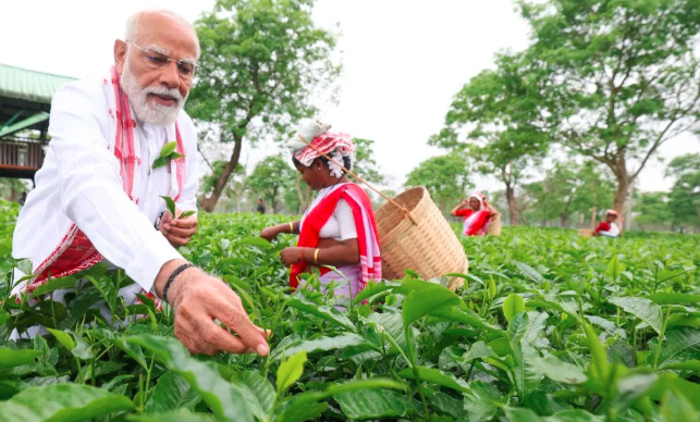 ಅಸ್ಸಾಂ ಚಹಾ ತೋಟಕ್ಕೆ ಪ್ರಧಾನಿ ಭೇಟಿ: “ಚಹಾ ಅಸ್ಸಾಂನ ಆತ್ಮ” ಎಂದ ಮೋದಿ