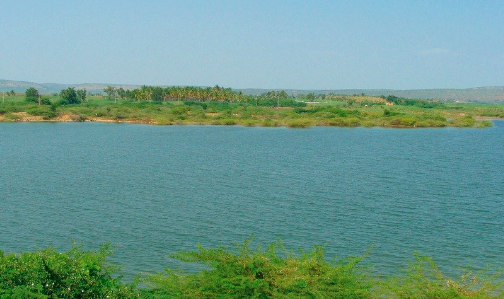 ಕೃಷ್ಣಾ ನದಿಯಲ್ಲಿ ಕುರಿಗಾಹಿಯ ಮೇಲೆ ಮೊಸಳೆ ದಾಳಿ! ಬಲಗೈ ಕಟ್