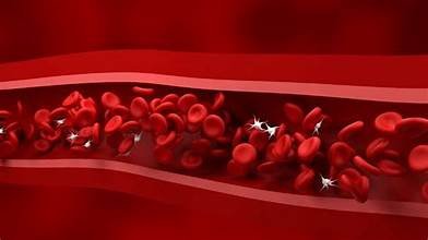 ರಕ್ತಸ್ರಾವ ನಿಲ್ಲದೇ ಇದ್ದರೆ ಎಚ್ಚರಿಕೆ! ಪ್ಲೇಟ್‌ಲೆಟ್‌ಗಳು ಕಡಿಮೆಯಾದರೆ ಜೀವಕ್ಕೆ ಅಪಾಯ!