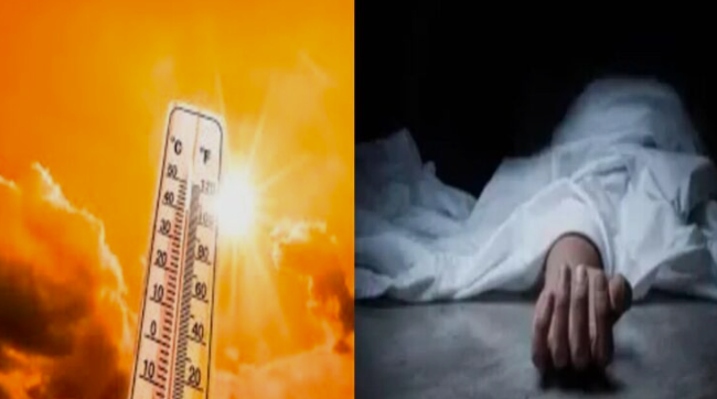 ಅಗ್ನಿಕುಂಡದಂತಾದ ಆದಿಲಾಬಾದ್: 45.3°C ತಾಪಮಾನ ದಾಖಲು, ಬಿಸಿಲಿನ ಹೊಡೆತಕ್ಕೆ 6 ಮಂದಿ ಬಲಿ