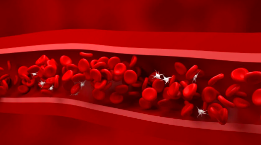 ನಿಮಗೆ ಗೊತ್ತೇ..? ದೇಹದಲ್ಲಿ ಪ್ಲೇಟ್‌ಲೆಟ್‌ʼಗಳು ಕಡಿಮೆಯಾಗುವುದಕ್ಕೆ ಈ ರೋಗಗಳೇ ಕಾರಣ!