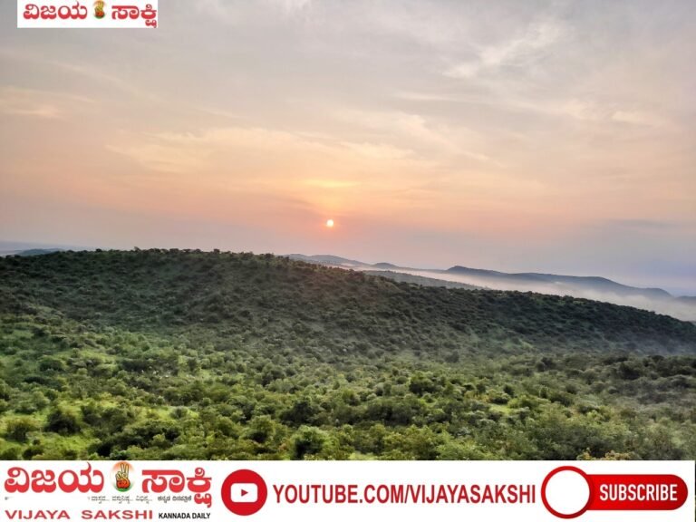 ಮಳೆಯ ಸಿಂಚನಕ್ಕೆ ಹಸಿರುಗೂಡಾದ ಕಪ್ಪತ್ತಗುಡ್ಡ