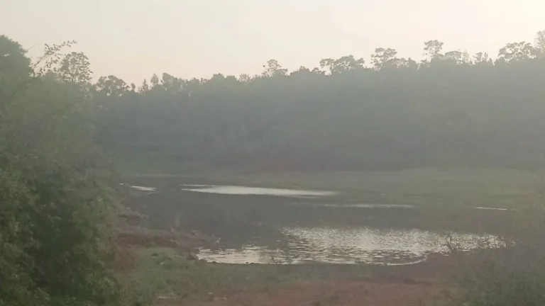 ಚಿಕ್ಕಮಗಳೂರಿನಲ್ಲಿ ಹೃದಯವಿದ್ರಾವಕ ದುರಂತ: ಕೆರೆಯಲ್ಲಿ ಮುಳುಗಿ ನಾಲ್ವರು ಮಕ್ಕಳು ಸಾವು!