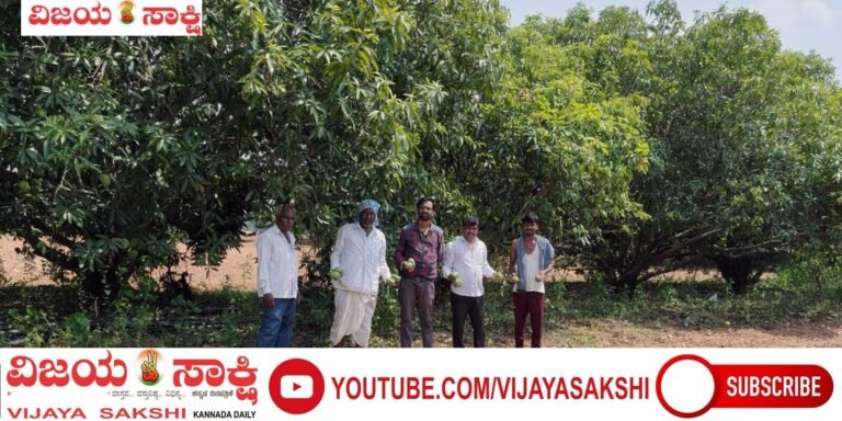 ಗಾಳಿ-ಮಳೆಗೆ ನೆಲಕಚ್ಚಿದ ಮಾವಿನ ಬೆಳೆ..!