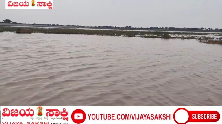 ಮೊದಲ ಮಳೆಗೆ ಮೈದುಂಬಿದ ಮಾಲವಿ ಜಲಾಶಯ