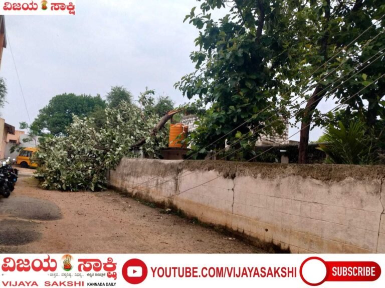 ಬಿರುಗಾಳಿ ಅಬ್ಬರಕ್ಕೆ ಮರ ಉರುಳಿ ಬಸ್ ಜಖಂ!