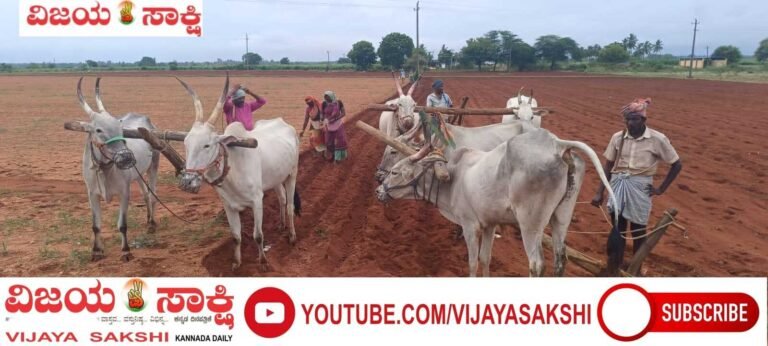 ಬಿತ್ತನೆ ಕಾರ್ಯದಲ್ಲಿ ಬ್ಯುಸಿ ಆದ ಅನ್ನದಾತರು!
