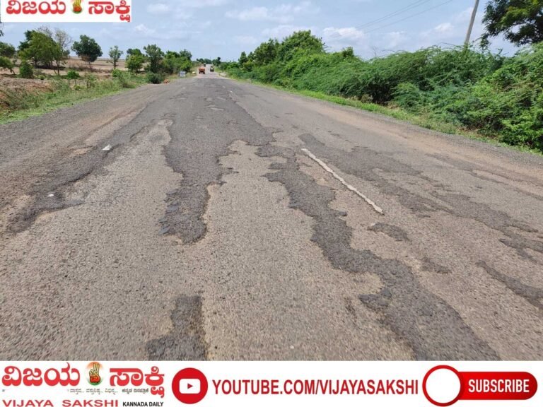 ಗುಂಡಿಗಳ ಗೂಡಾದ ಪಾಲಾ–ಬದಾಮಿ ರಸ್ತೆ!