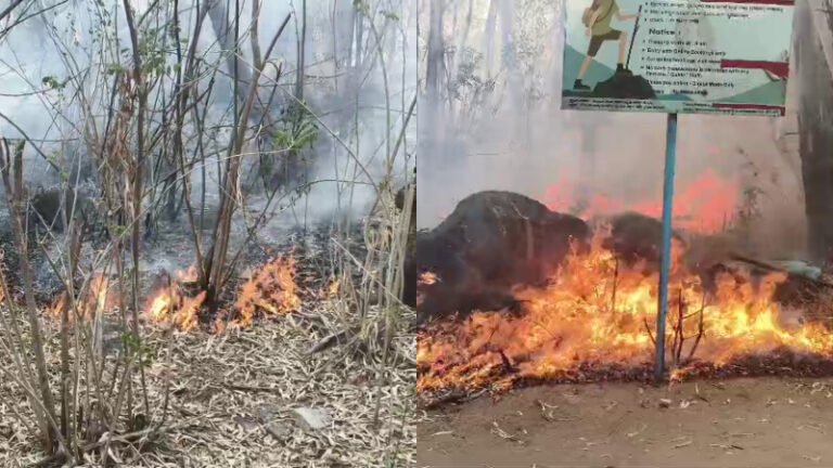 ಅಂತರಗಂಗೆ ಅರಣ್ಯದಲ್ಲಿ ಬೆಂಕಿ: ಅಪಾರ ಕಾಡು ನಾಶ, ಪ್ರಾಣಿ ಸಂಕುಲಕ್ಕೆ ಆತಂಕ