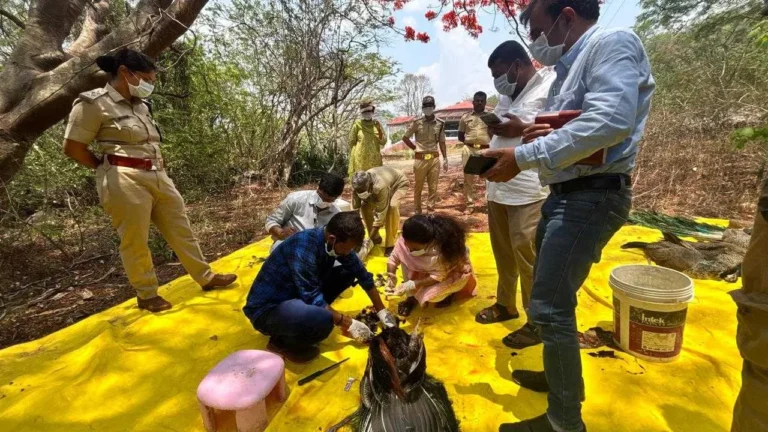 ನವಿಲುಗಳ ಸರಣಿ ಸಾವು ರಹಸ್ಯ ಬಯಲು: ತುಮಕೂರಿನಲ್ಲಿ ಹಕ್ಕಿ ಜ್ವರ ಅಟ್ಟಹಾಸ, ಕಟ್ಟುನಿಟ್ಟಿನ ನಿಯಂತ್ರಣ ಕ್ರಮಗಳು ಜಾರಿ!