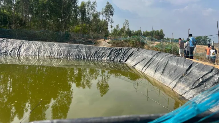 ಕೋಲಾರ ಜಿಲ್ಲೆದಲ್ಲಿ ದಾರುಣ ದುರಂತ: ಕೃಷಿ ಹೊಂಡದಲ್ಲಿ ಮುಳುಗಿ ತಂದೆ ಮತ್ತು ಇಬ್ಬರು ಮಕ್ಕಳು ಸಾವು!