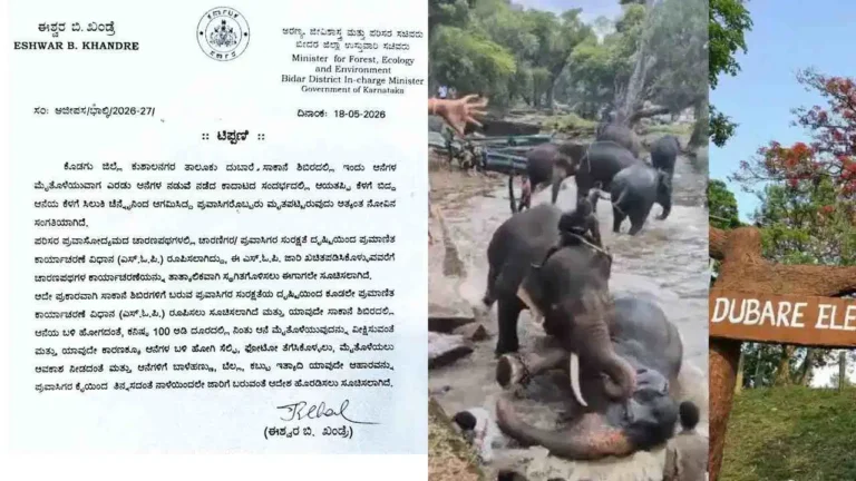 ದುಬಾರೆ ದುರಂತದ ಬಳಿಕ ಕಠಿಣ ರೂಲ್ಸ್! ಇನ್ಮುಂದೆ ಆನೆಗಳಿಂದ 100 ಅಡಿ ದೂರ ಕಡ್ಡಾಯ