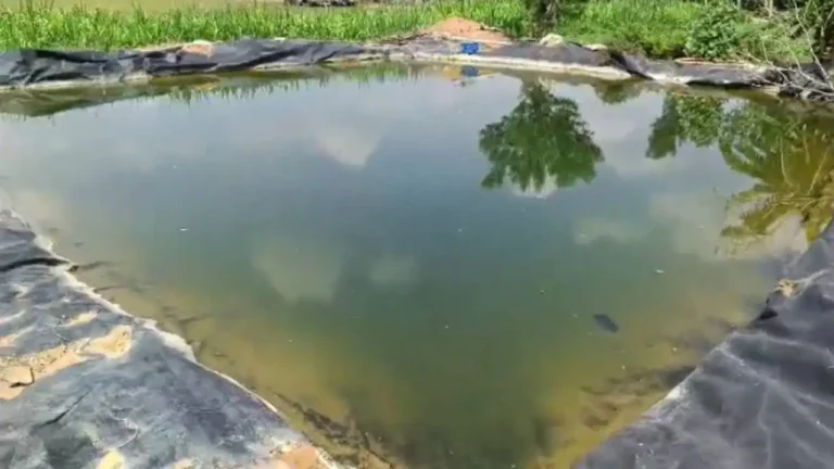 ಒಂದಾದ ಮೇಲೊಂದು ಬಲಿ ಪಡೆಯುತ್ತಿರುವ ಕೃಷಿ ಹೊಂಡಗಳು: ಕೋಲಾರದಲ್ಲಿ ಮತ್ತೆ ಇಬ್ಬರು ಮಕ್ಕಳು ಸಾವು!