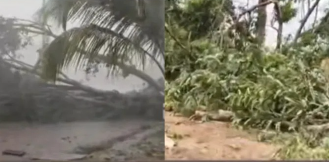 ರಾಜ್ಯಾದ್ಯಂತ ಬಿರುಗಾಳಿ ಸಹಿತ ಭಾರಿ ಮಳೆ: ಮರಗಳು ಉರುಳಿ ಜನಜೀವನ ಅಸ್ತವ್ಯಸ್ತ