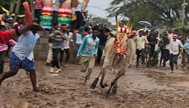 ಕರಿ ಹರಿದ ಸಂಭ್ರಮಕ್ಕೆ ಮಳೆರಾಯನ ಸಾಥ್..!