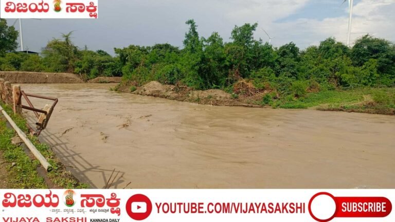 ಹೆಸರಿಗೆ ಜೀವ ತುಂಬಿದ ರೋಹಿಣಿ ಮಳೆ!